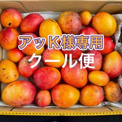 沖縄県産 【訳あり】完熟アップルミニマンゴー8kg 沖縄県産 【訳あり】完熟アップルミニマンゴー8kg（沖縄県中城村