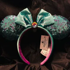 Disney - WDW ♡ 海外デザイン 刺繍カチューシャ ジャスミン アリエル WDW限定】海外デザイン カチューシャ ジャスミン アリエル