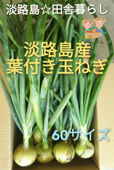 淡路島産 葉付き新玉ねぎ「スーパーアップ」又は「貴錦」淡路島玉ねぎ