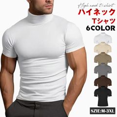 ハイネック tシャツ ゴルフウェア メンズ 半袖 ゴルフ 無地tシャツ モックネック yifengyu77