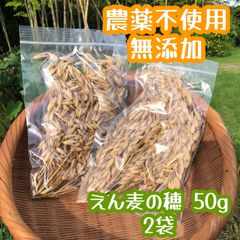 小動物 農薬不使用 無添加 おやつ オーツ麦 えん麦の穂 乾燥 穀物 うさぎ ハムスター テグー モルモット チンチラ 鳥 インコ