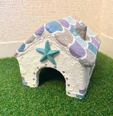 爬虫類シェルター　海