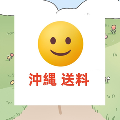 沖縄 送料追加専用ページ