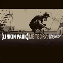 2024年最新】linkin park レコードの人気アイテム - メルカリ