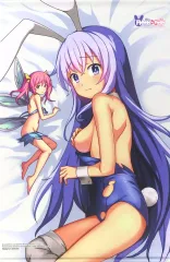 【中古】タペストリー エリナ＆リボン B2タペストリー 「Switchソフト Rabi-Ribi Platinum Edition」 WonderGOO購入特典