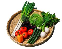 Item thumbnail for item caa20343-77b4-4c09-943a-7c55ffada01f