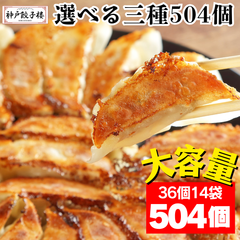 まとめ買いでお得！【選べる】餃子504個 36個14袋 便利なチャック袋入り しょうが餃子 わんぱく餃子 黒豚にんにく餃子 パーティー イベント 大量 学祭 学園祭 出店 屋台 業務用