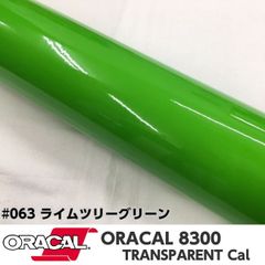 ORACAL8300 約21cm×30cm A4サイズ　ライムツリーグリーン