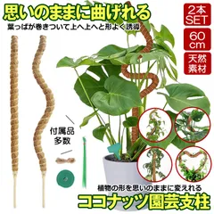 2024年最新】蔓性植物の人気アイテム - メルカリ