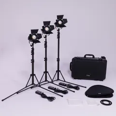 少量生産 FIILEX フィーレックス P360EX LED 3灯 ケース 7021#J 【公式