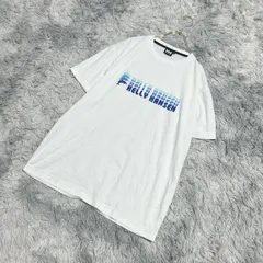 【HELLY HANSEN】ヘリーハンセン  半袖Tシャツ  プリントTシャツ  ジャージ生地  (XL)  ヘルシー  summer  メンズ  白系  ホワイト【送料無料】