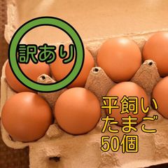 訳あり　平飼い卵10個入り5パック　国産もみじの卵　新鮮　常温発送