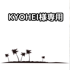 KYOHEI様専用　【抜き苗】カナリーヤシ　Phoenix canariensis　2本
