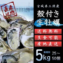 生食OK 三陸産 殻付き 生牡蠣 5kg 今季初出し 希少 数量限定 新鮮 産地直送 宮城 石巻 鉄分 ミネラル豊富 希少 カキ バーベキュー 貝 魚介類 かき 刺身 焼く 蒸す 揚げ 漬け カキフライ 鍋 栄養 誕生日 プレゼント 海の幸 贈り物 逸品のサムネイル