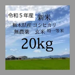 2024年最新】蒼の玄米の人気アイテム - メルカリ