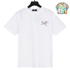 【今日WTO】ARCTERYX 2025 カラーグラデーションプリント T シャツ-PD17