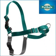 ティールグリーン★イージーウォークハーネス Pet Safe 正規品