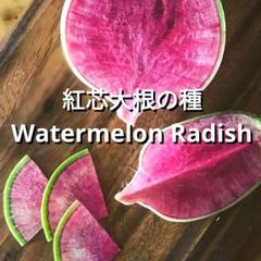 国連初日カバーファイル⚪No1〜No108【激レア】 国連初日カバー