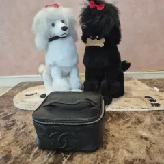 Chanel(シャネル) ブラック ヴィンテージ バニティ ケース バッグ 正規品