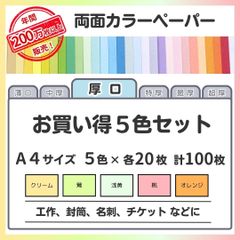 ★期間限定 10％OFF クーポン有★【特別価格】色画用紙 まとめ売り A4 厚口タイプ（0.11㎜／5色×各20枚）全100枚／印刷対応カラーペーパー／しおり・表紙・名札・案内札・掲示物に最適