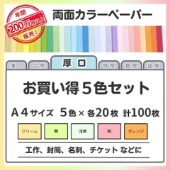 【特別価格】色画用紙 まとめ売り A4 厚口タイプ（0.11㎜／5色×各20枚）全100枚／印刷対応カラーペーパー／しおり・表紙・名札・案内札・掲示物に最適