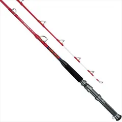 名竿ミヤマエSwing Action 250号240