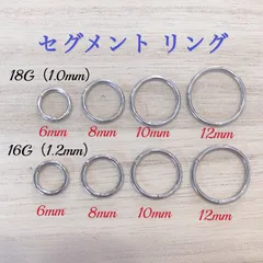 片耳 1個 セグメント リング フープ リング ピアス ボディピアス