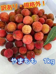 ヤマモモ 1kg クール便 送料込み 特大 即日発送 2025年最新】ヤマモモ 冷凍の人気アイテム - メルカリ