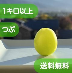 山梨県産 シャインマスカット 粒  1kg 甘くてプリプリ♪ぶどう おまかせ / パーティー・お誕生日・お菓子作りのサムネイル