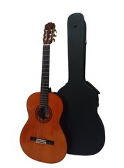 ASTURIAS　クラシックギター　AST60