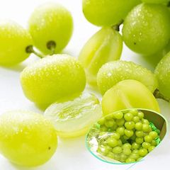九州産 シャインマスカット 大房 高級 2㎏ 3房から5房 箱込み【002】 優品 家庭用 種無し 皮ごと 数量限定  ぶどう 葡萄 フルーツ 果物 完熟 発送予定日7月下旬～