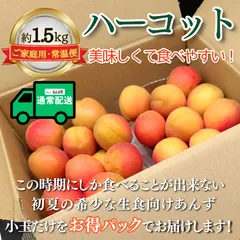 ☆信州産あんずの里あんず杏約3.5kg アプリコット生あんず