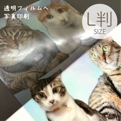 透明フィルム　写真印刷サービス L判サイズ／89×127mmプレゼント　卒業式　結婚式　記念日　ペット　誕生日