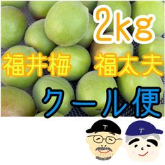 和歌山 パープル 小梅 紫 梅 2kg クール便 - メルカリ