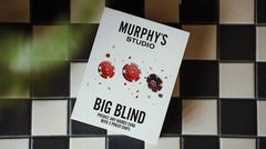 ポーカーチップ、1つの完璧な予言　The Big Blindby Craig Petty