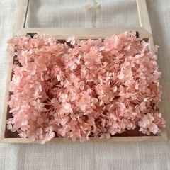 プリザーブドフラワー アナベルアジサイ 約10g (ピンク) TK-PU 未使用品 あじさい 紫陽花 ヘッド
