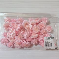 大地農園 ヘリクリサム・ヘッド ピンク新品1袋