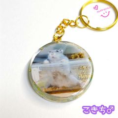 【おまけ付き】レジンキーホルダー  写真入り ハンドメイド 「お外が気になる こきち♂」バージョン