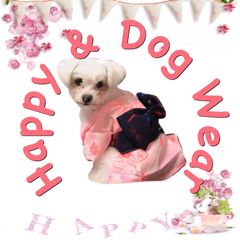 みる⭐︎様♡ハンドメイド犬服♡ サイズ⭐️L - メルカリ