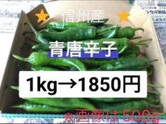 ★常温便★激辛 青唐辛子 1kg　長野県産 信州 産地直送のサムネイル