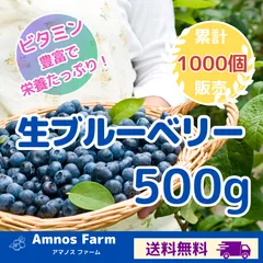 【千葉県産】生ブルーベリー500gのサムネイル