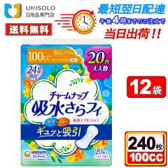 【まとめx12袋】チャームナップ 吸水さらフィ 多い時用 羽なし 100cc 29cm 20コ入(尿 吸収ナプキン 尿もれパッド ナプキンサイズ)