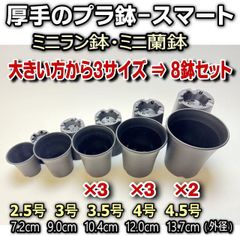 미니런 화분 미니 란화 두꺼운 스마트 냄비 * 다육 식물 · 벌목 식물 코덱스 · 아가베 · 선인장 · 관엽 · 하오르티아 · 아데늄 · 파키포디움 * 그라 키리스 · 묘목 @ 꽃 가게 에구치