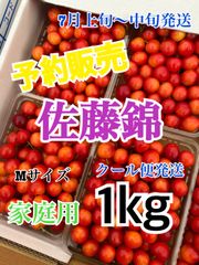 65 北海道産　さくらんぼ　佐藤錦　Mサイズ　1キロ