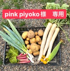 pink piyoko様　専用ページ