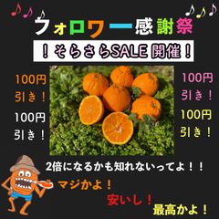 とろ〜りデコポン　(不知火)　2キロ