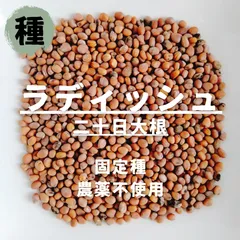 2025年最新】大根葉の人気アイテム - メルカリ