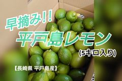 平戸島レモン（早摘み）　5キロ入り　国産レモン
