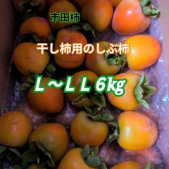 渋柿Ｌ〜ＬＬ６kg市田柿干し柿用の生柿