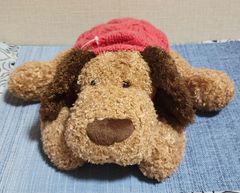 クタクタわんこ